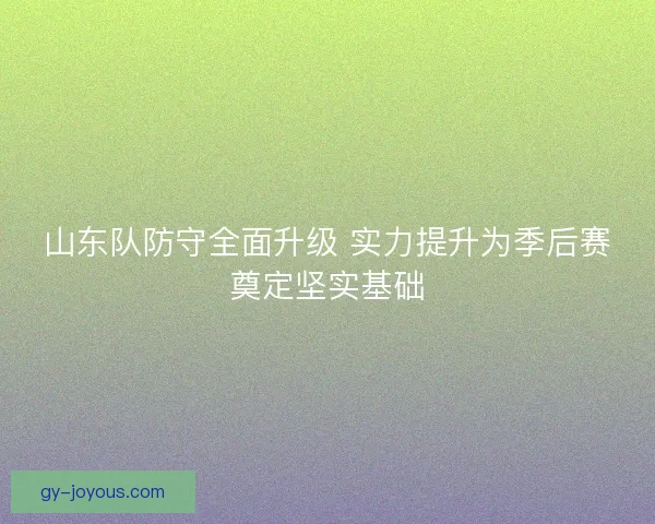 山东队防守全面升级 实力提升为季后赛奠定坚实基础