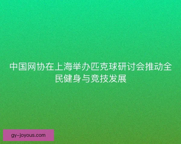 中国网协在上海举办匹克球研讨会推动全民健身与竞技发展
